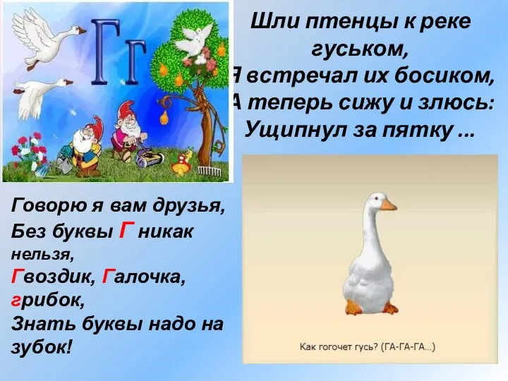 Шли птенцы к реке гуськом, Я встречал их босиком, А теперь