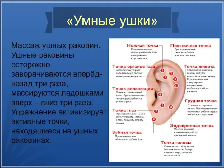 «Умные ушки» Массаж ушных раковин. Ушные раковины осторожно заворачиваются вперёд- назад