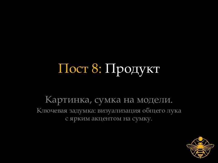 Пост 8: Продукт Картинка, сумка на модели. Ключевая задумка: визуализация общего