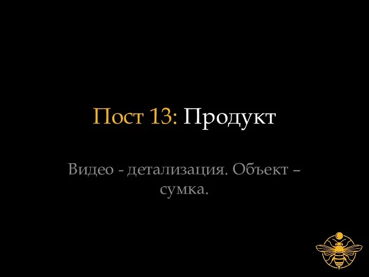 Пост 13: Продукт Видео - детализация. Объект – сумка.