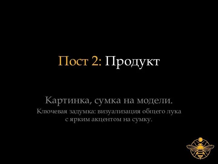 Пост 2: Продукт Картинка, сумка на модели. Ключевая задумка: визуализация общего