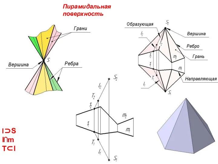 Пирамидальная поверхность l⊃S l⋂m T⊂l