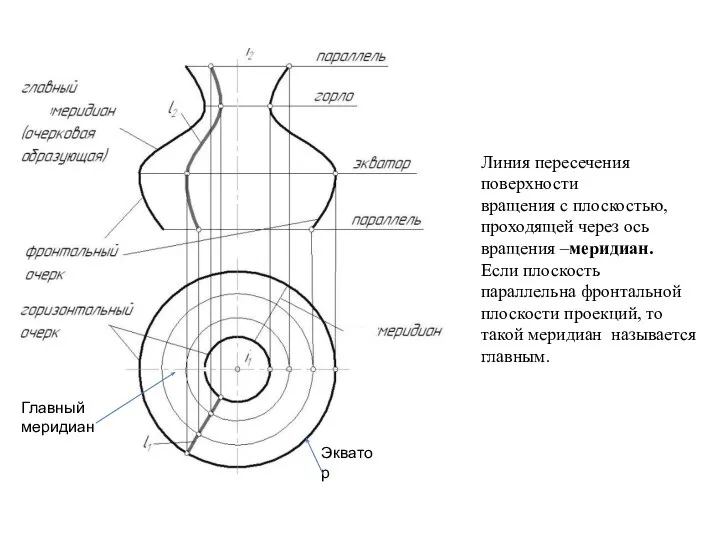Главный меридиан Экватор Линия пересечения поверхности вращения с плоскостью, проходящей через