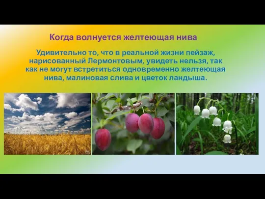 Удивительно то, что в реальной жизни пейзаж, нарисованный Лермонтовым, увидеть нельзя,