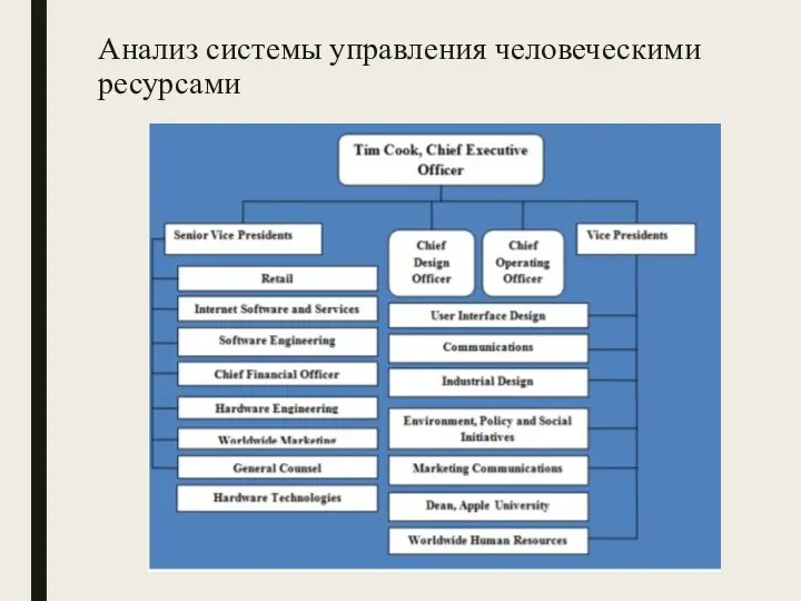 Анализ системы управления человеческими ресурсами Организационная структура Apple