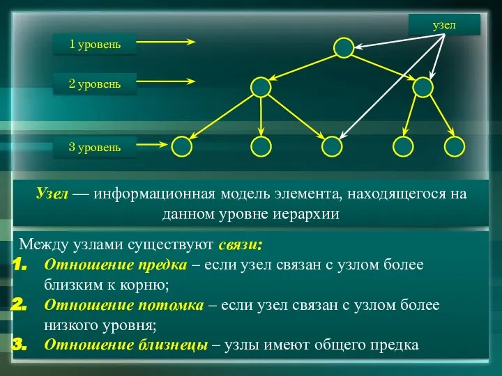 Узел — информационная модель элемента, находящегося на данном уровне иерархии Между
