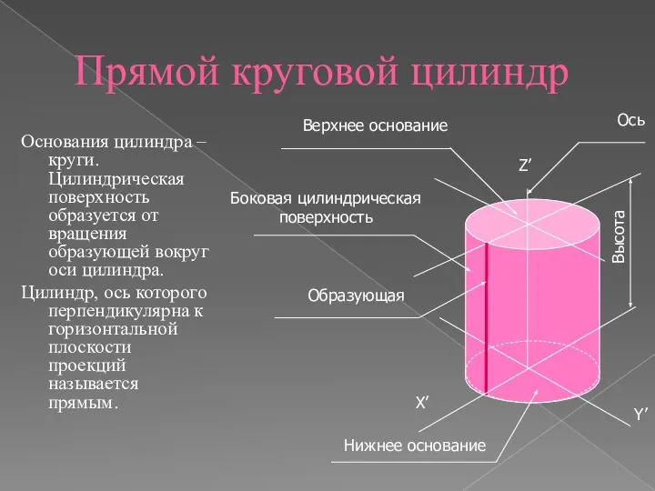 Прямой круговой цилиндр Основания цилиндра – круги. Цилиндрическая поверхность образуется от