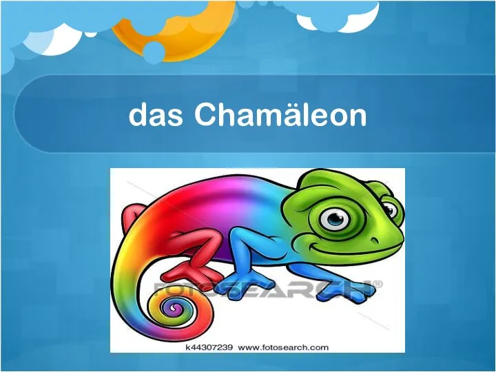 das Chamäleon