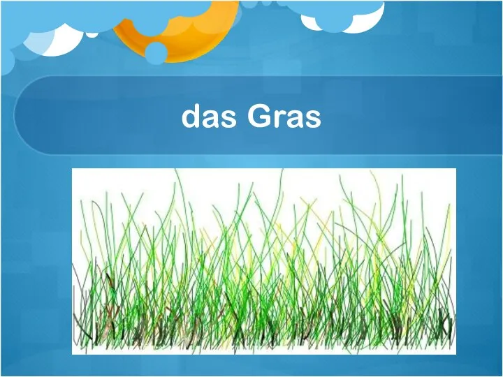 das Gras