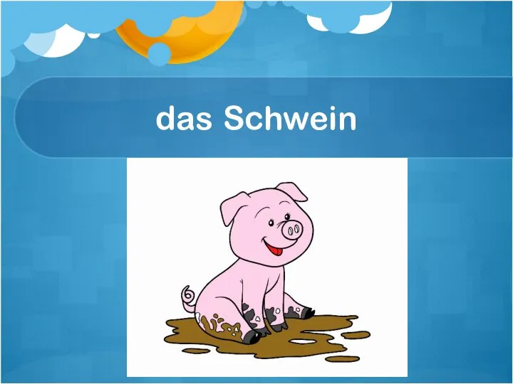 das Schwein