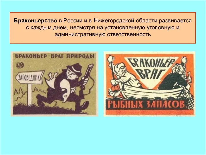 Браконьерство в России и в Нижегородской области развивается с каждым днем,