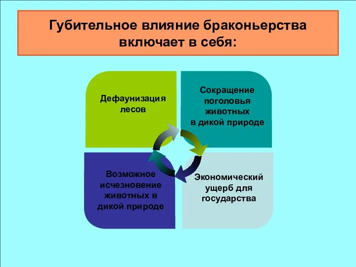 Губительное влияние браконьерства включает в себя: Дефаунизация лесов Сокращение поголовья животных