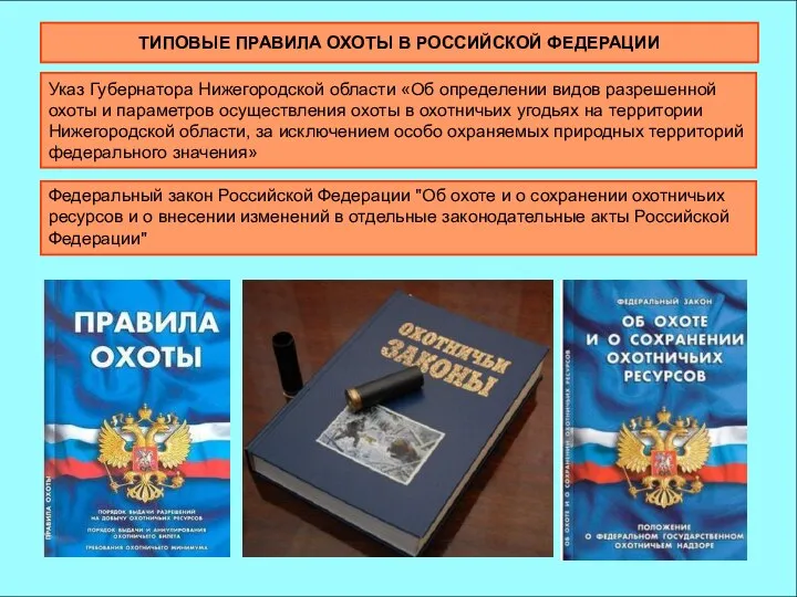 ТИПОВЫЕ ПРАВИЛА ОХОТЫ В РОССИЙСКОЙ ФЕДЕРАЦИИ Указ Губернатора Нижегородской области «Об