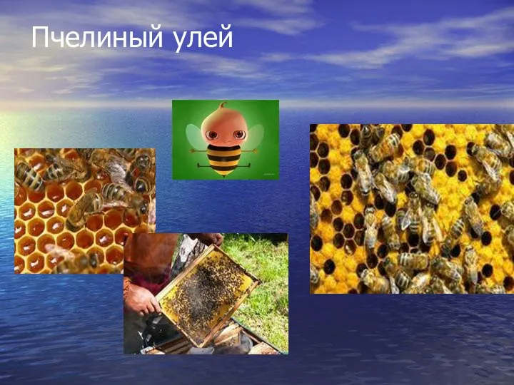 Пчелиный улей