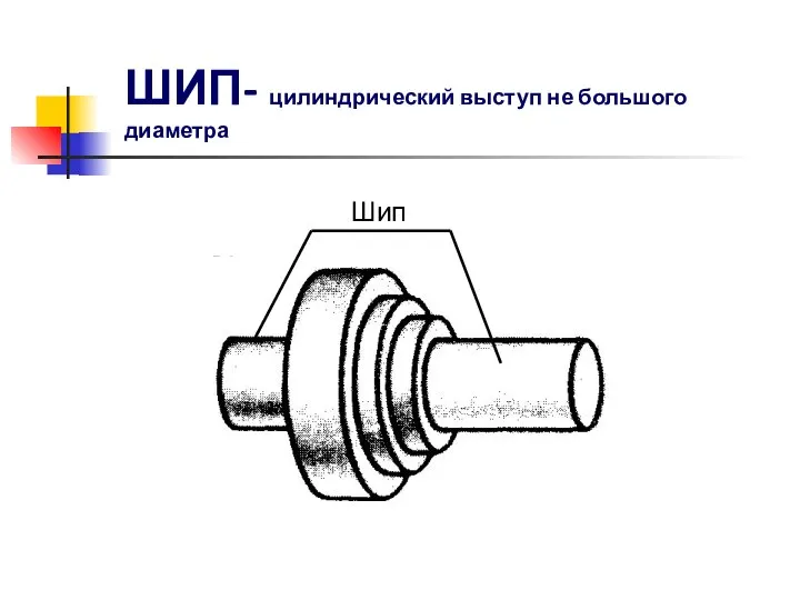 ШИП- цилиндрический выступ не большого диаметра Шип