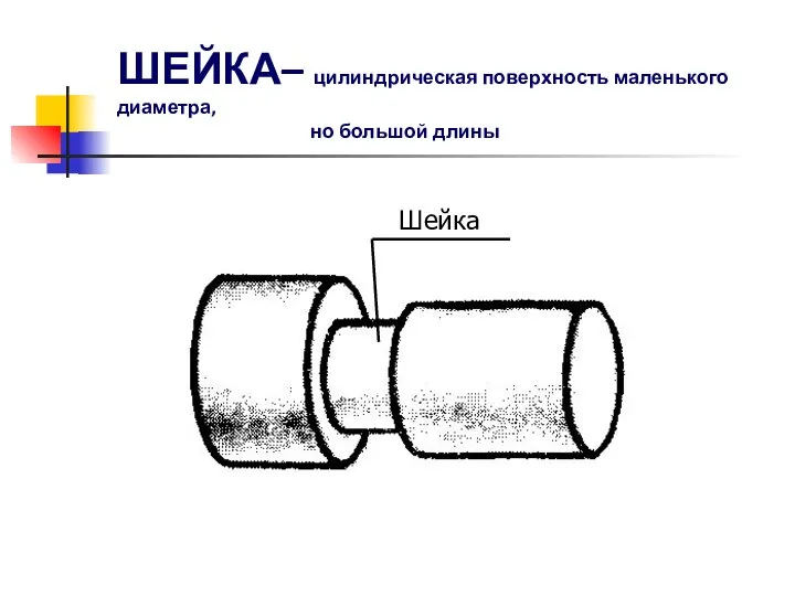 ШЕЙКА– цилиндрическая поверхность маленького диаметра, но большой длины Шейка