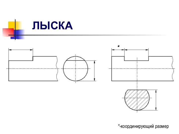 ЛЫСКА *-координирующий размер