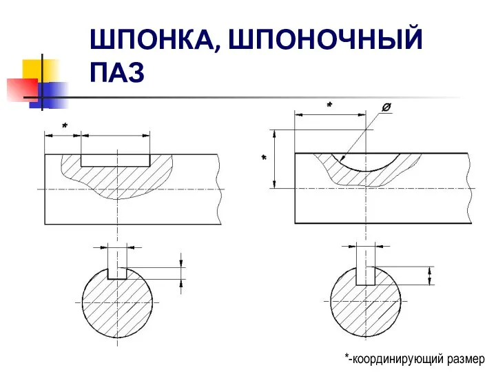 ШПОНКА, ШПОНОЧНЫЙ ПАЗ *-координирующий размер