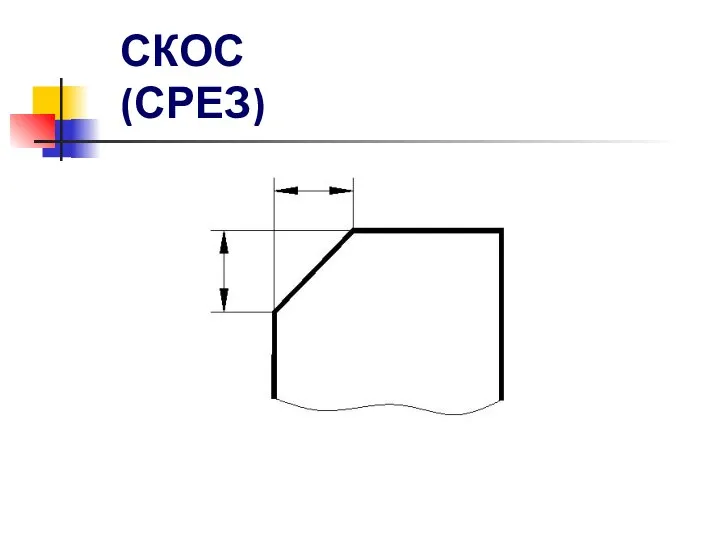 СКОС (СРЕЗ)