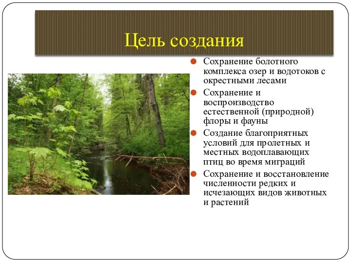 Цель создания Сохранение болотного комплекса озер и водотоков с окрестными лесами