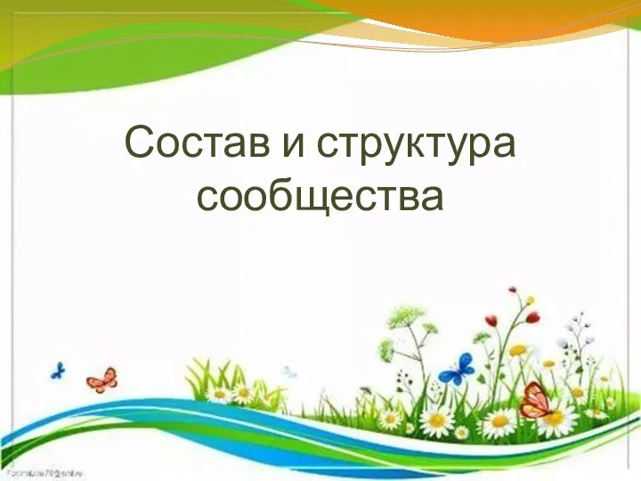 Состав и структура сообщества