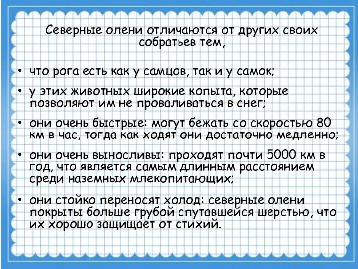 Северные олени отличаются от других своих собратьев тем, что рога есть