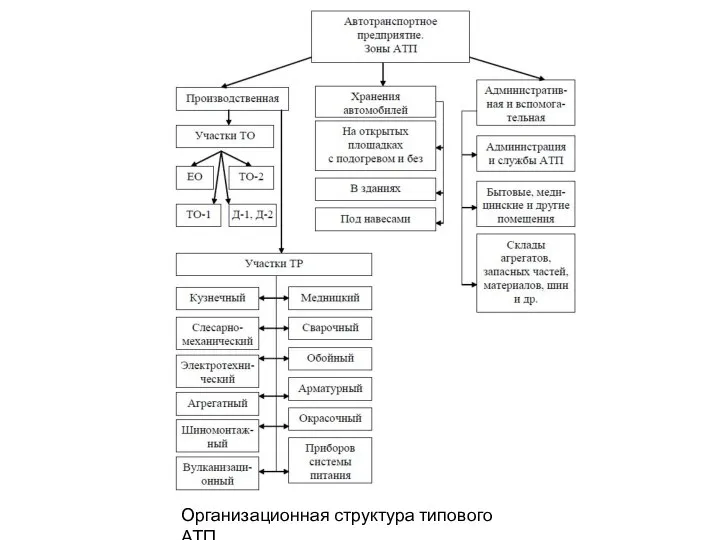 Организационная структура типового АТП