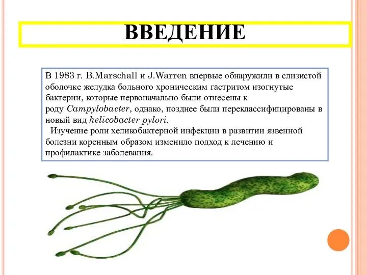 ВВЕДЕНИЕ В 1983 г. B.Marschall и J.Warren впервые обнаружили в слизистой