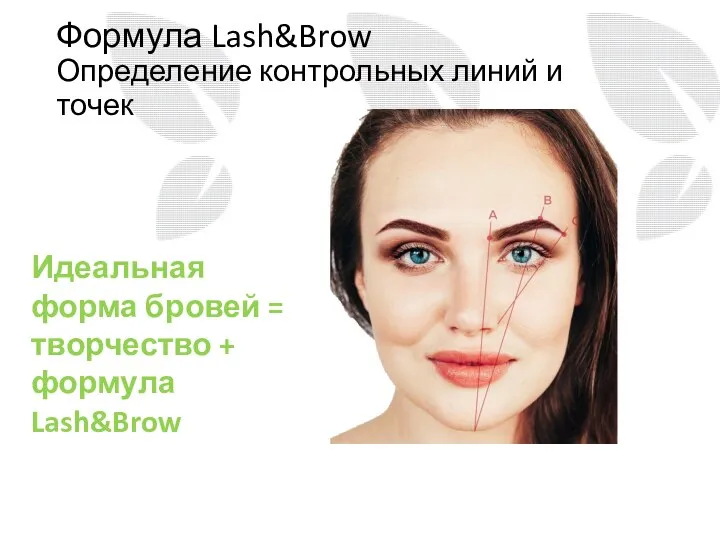 Формула Lash&Brow Определение контрольных линий и точек Идеальная форма бровей = творчество + формула Lash&Brow