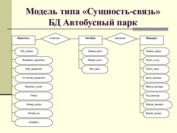 Модель типа «Сущность-связь» БД Автобусный парк