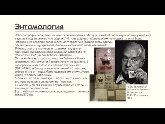 Энтомология Набоков профессионально занимался энтомологией. Интерес к этой области науки возник