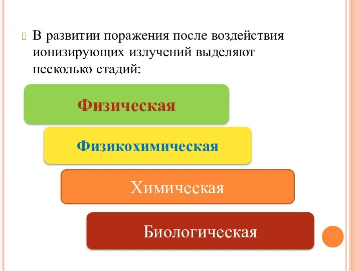 В развитии поражения после воздействия ионизирующих излучений выделяют несколько стадий: Физическая Физикохимическая Химическая Биологическая