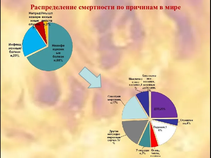 Распределение смертности по причинам в мире