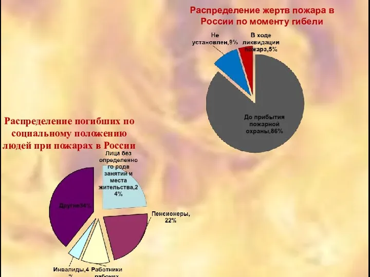 Распределение погибших по социальному положению людей при пожарах в России Распределение