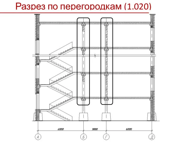 Разрез по перегородкам (1.020)