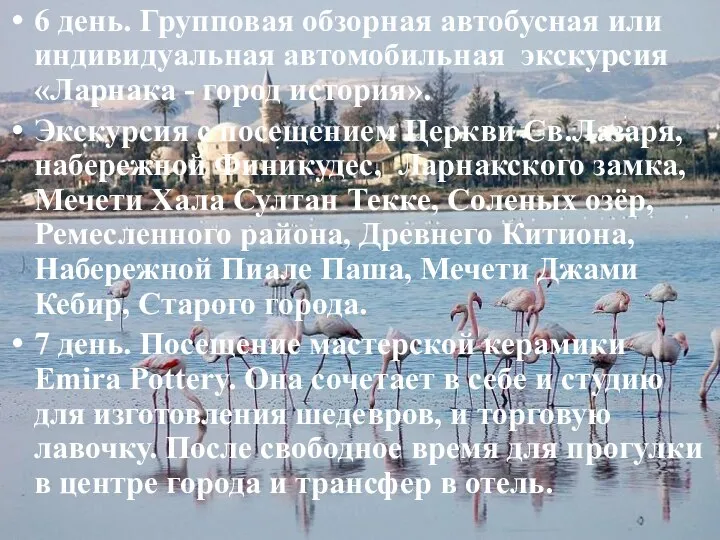 6 день. Групповая обзорная автобусная или индивидуальная автомобильная экскурсия «Ларнака -