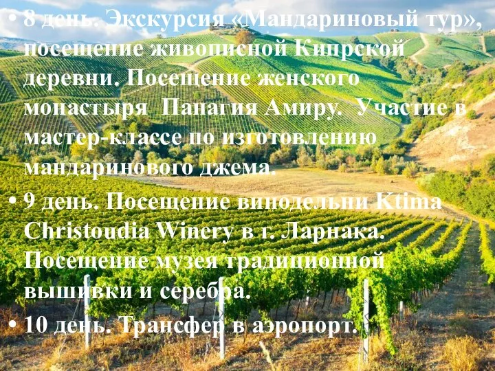 8 день. Экскурсия «Мандариновый тур», посещение живописной Кипрской деревни. Посещение женского