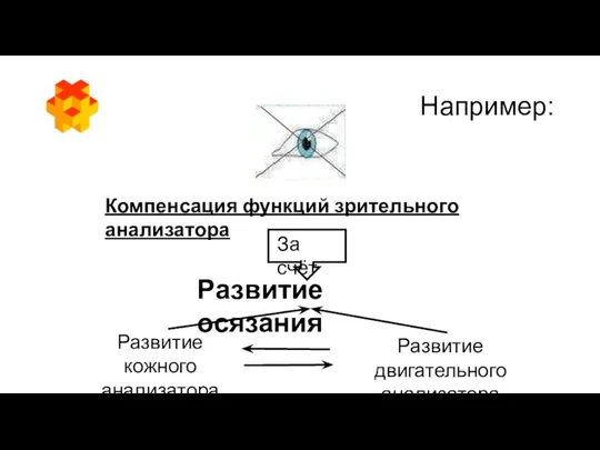 Например: Компенсация функций зрительного анализатора За счёт Развитие осязания Развитие кожного анализатора Развитие двигательного анализатора