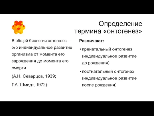 Определение термина «онтогенез» В общей биологии онтогенез – это индивидуальное развитие