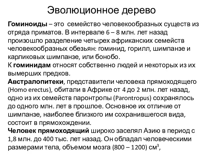 Эволюционное дерево Гоминоиды – это семейство человекообразных существ из отряда приматов.