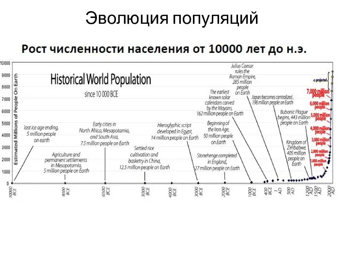 Эволюция популяций