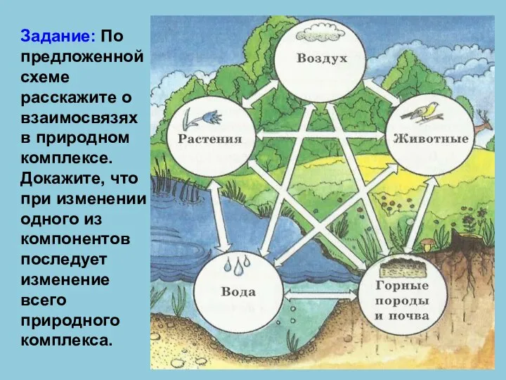 Задание: По предложенной схеме расскажите о взаимосвязях в природном комплексе. Докажите,