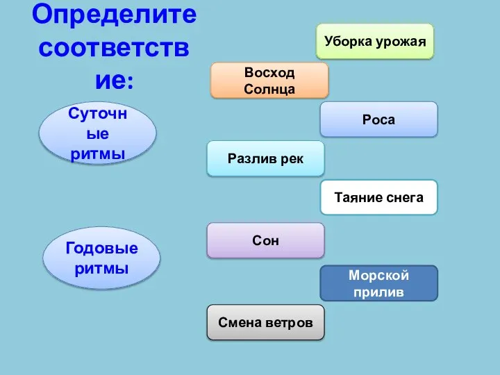 Определите соответствие: Суточные ритмы Годовые ритмы Восход Солнца Уборка урожая Роса