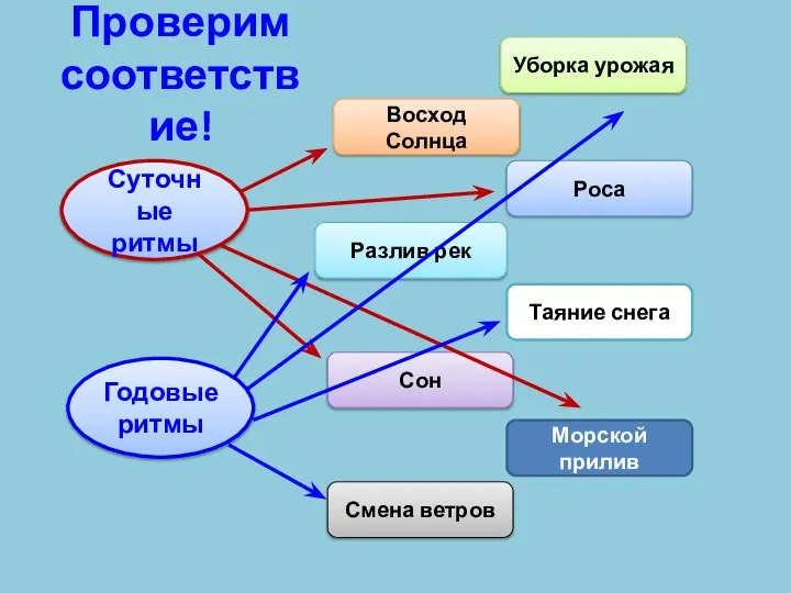 Проверим соответствие! Суточные ритмы Годовые ритмы Восход Солнца Уборка урожая Роса