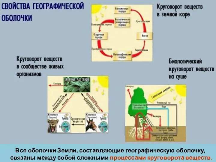 Все оболочки Земли, составляющие географическую оболочку, связаны между собой сложными процессами круговорота веществ.