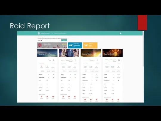 Raid Report