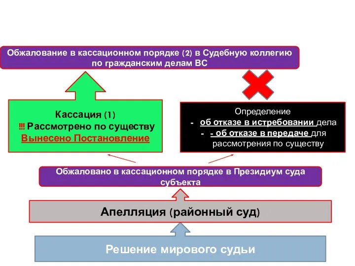 Решение мирового судьи Апелляция (районный суд) Кассация (1) !!! Рассмотрено по