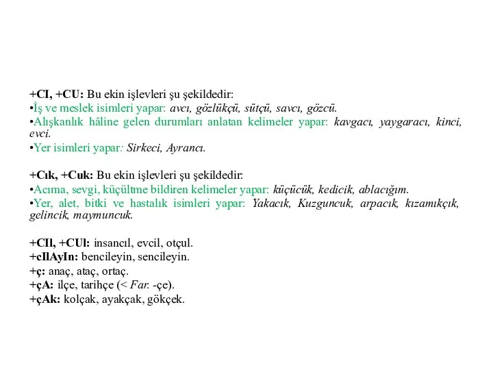 +CI, +CU: Bu ekin işlevleri şu şekildedir: •İş ve meslek isimleri