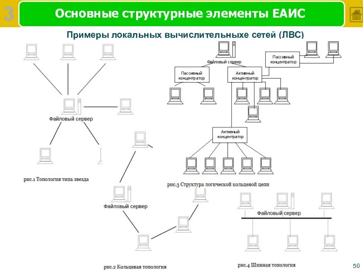 Основные структурные элементы ЕАИС 3 Примеры локальных вычислительныхе сетей (ЛВС)