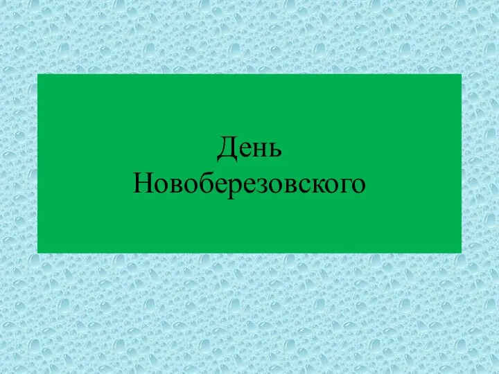 День Новоберезовского